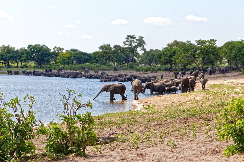 Nambwa Tented Lodge Kongola Kültér fotó