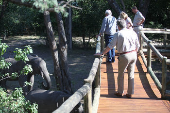 Nambwa Tented Lodge Kongola Kültér fotó